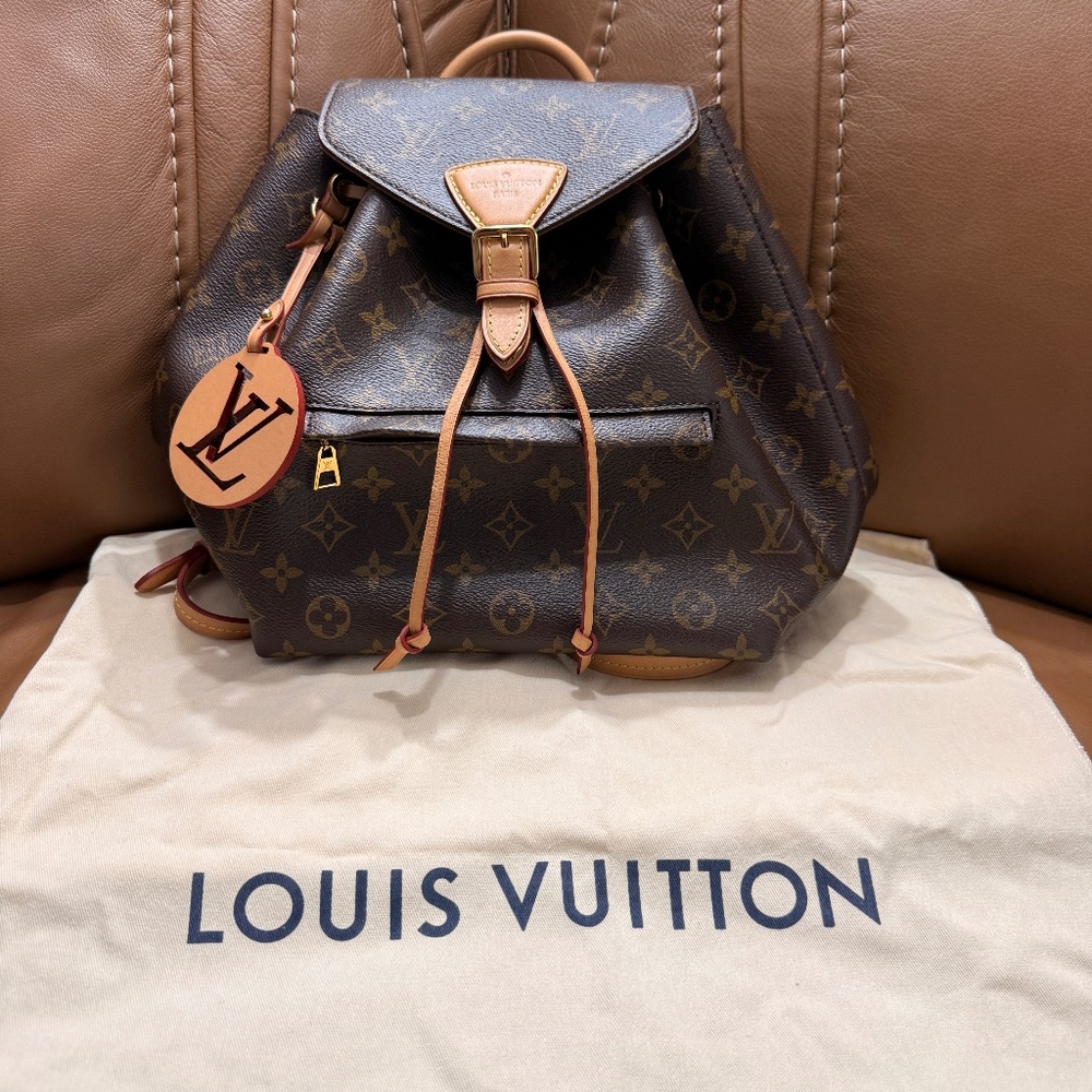 Louis Vuitton LV Montsouris PM Backpack 2020